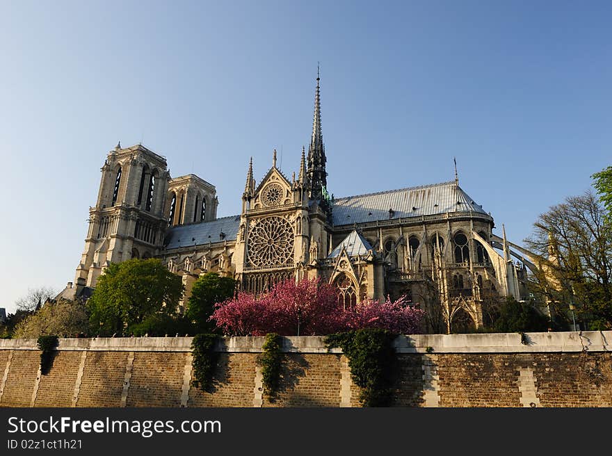 Beautiful View of Notredame Cathedral. Beautiful View of Notredame Cathedral