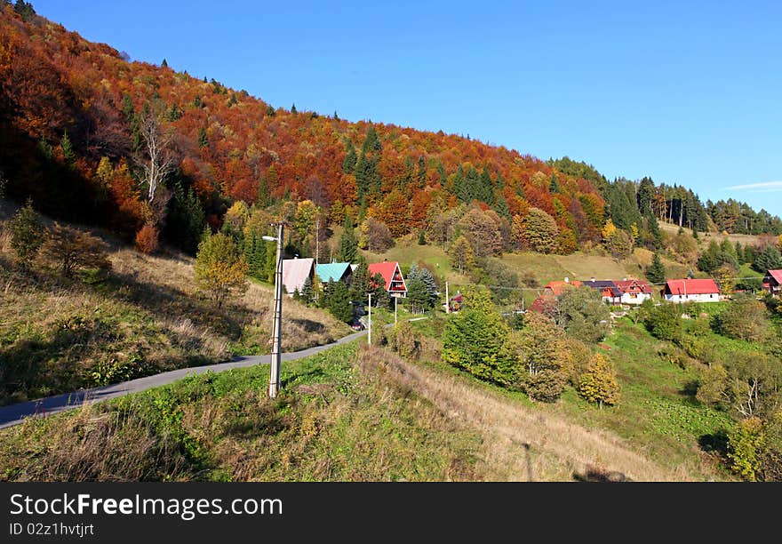 The mountain autumn landscape with colorful forest