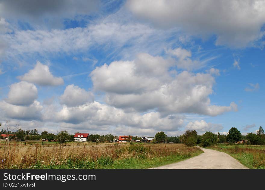 Sand road in the field