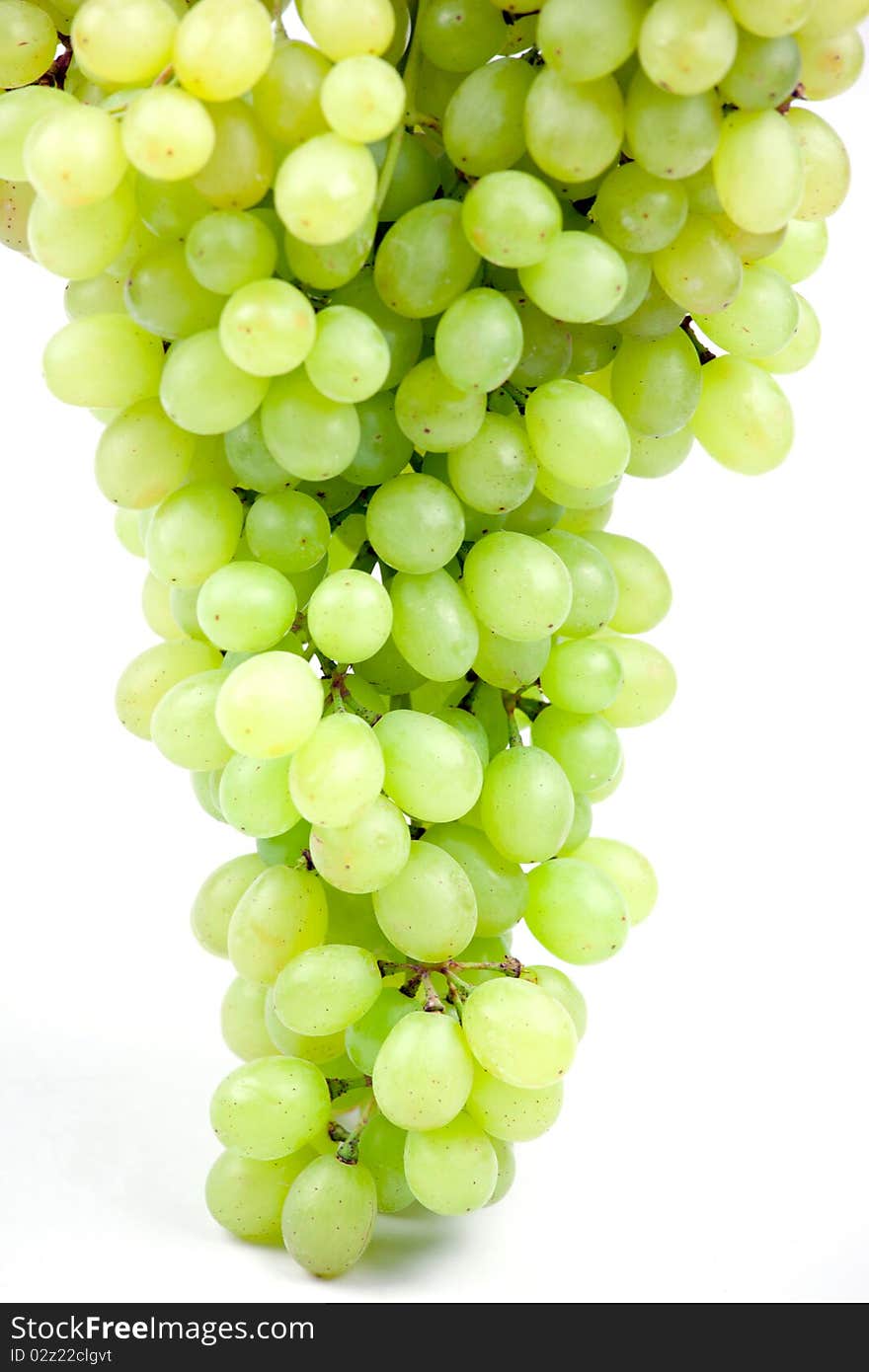 Fresh grape fruits  isolated