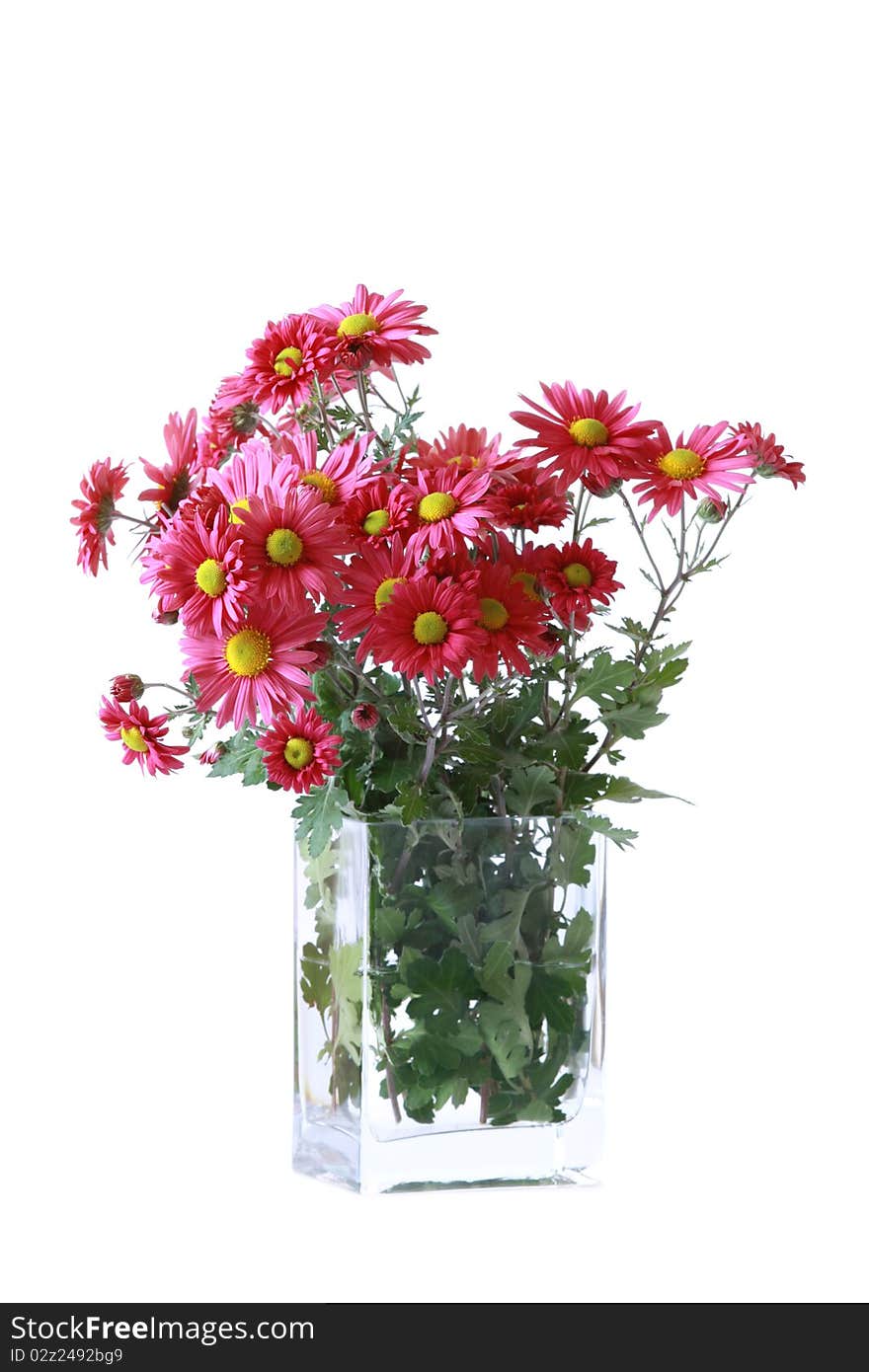 Autumn flowers in glass vase isolated over white