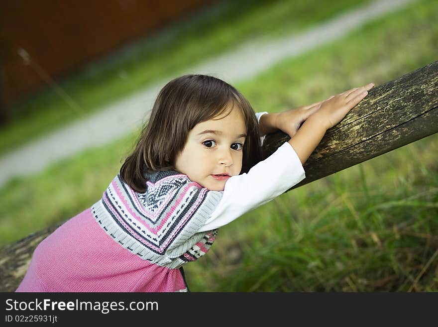 Portrait of a little girl in the park. Portrait of a little girl in the park