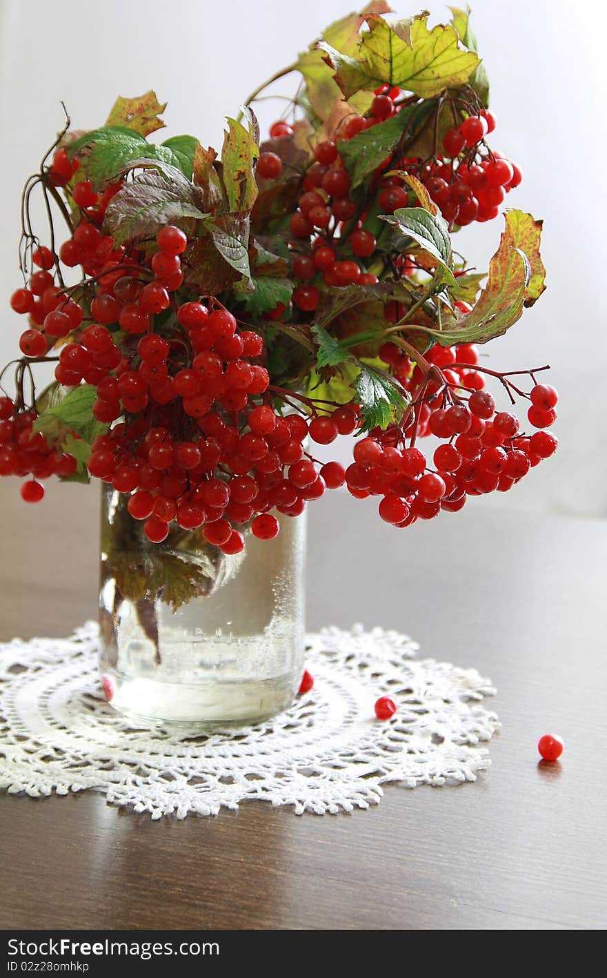 Beautiful still-life with viburnum branches in jar. Beautiful still-life with viburnum branches in jar