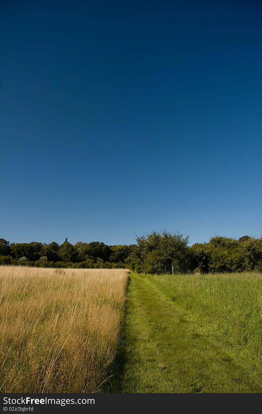 Path in Field, Northumberland, England