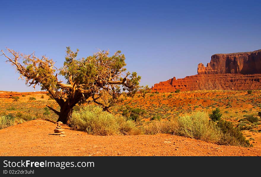 Desert Landscape