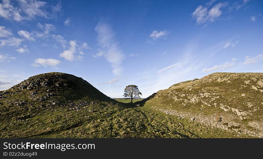 Sycamore Gap