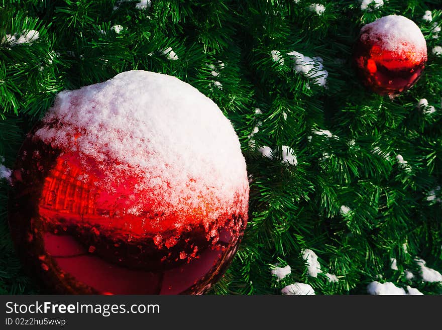 Red ball on the Christmas tree