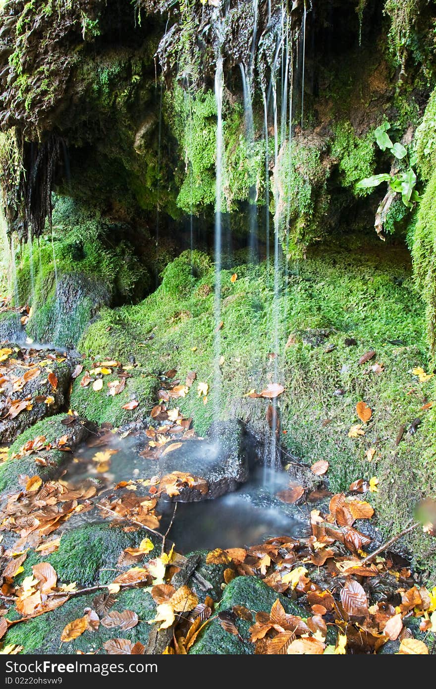 Mountain stream in autumn in Strandzha / Bulgaria /