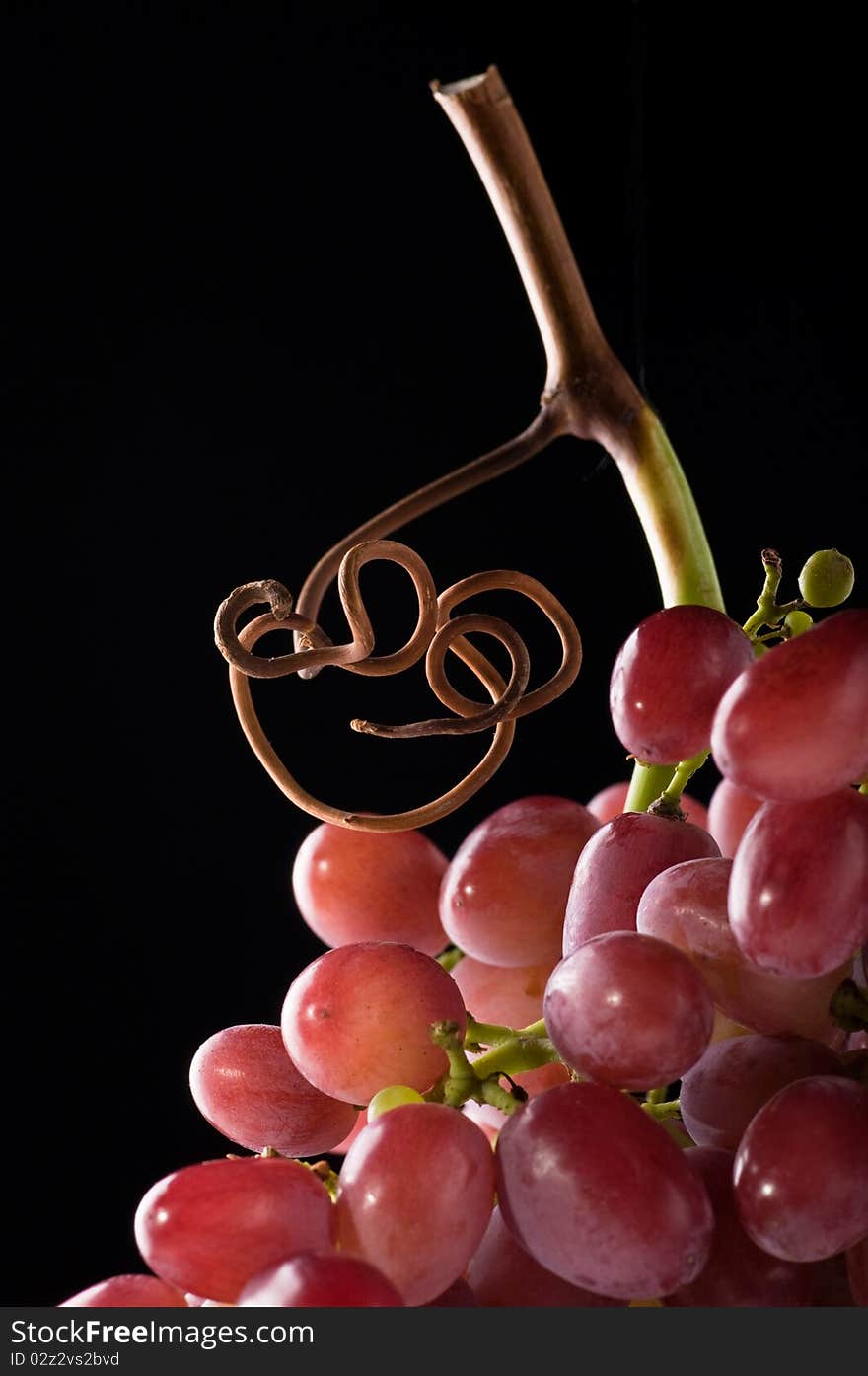 Bunch of grapes with a black background. Bunch of grapes with a black background