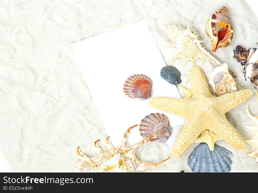 Sea stars and shells an blank postcard on sands