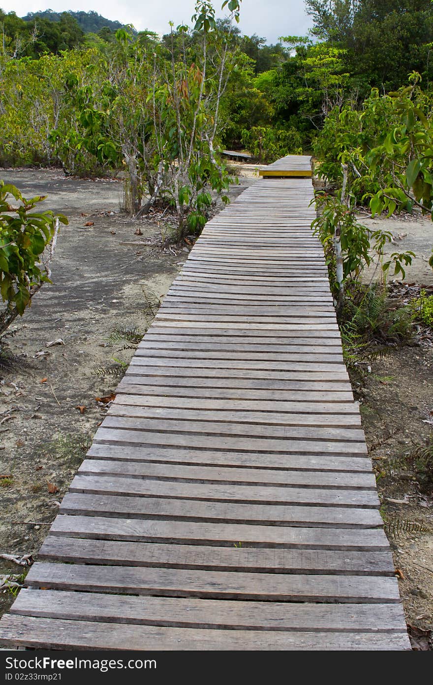 A wooden walkway on part of a trail in the woods