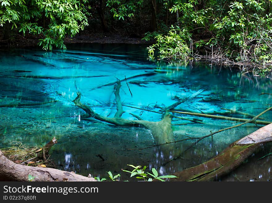 Blue natural pond with perfectly calm water