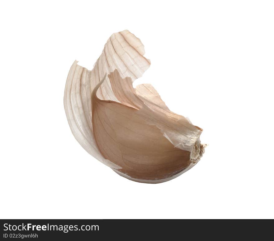 Young garlic on a white background