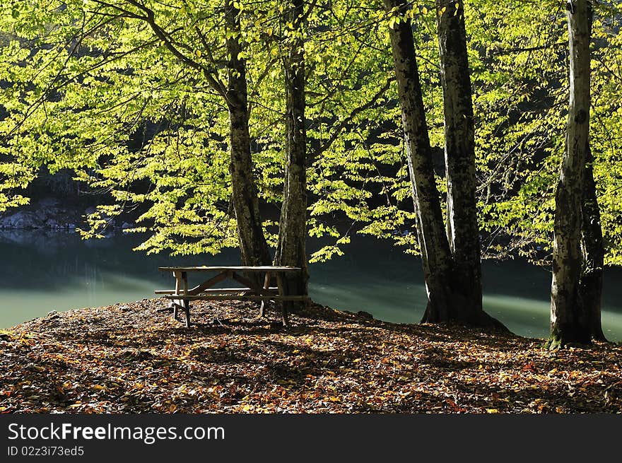 Wood along lake coast in clear autumn day. Sky and clouds. Wood along lake coast in clear autumn day. Sky and clouds