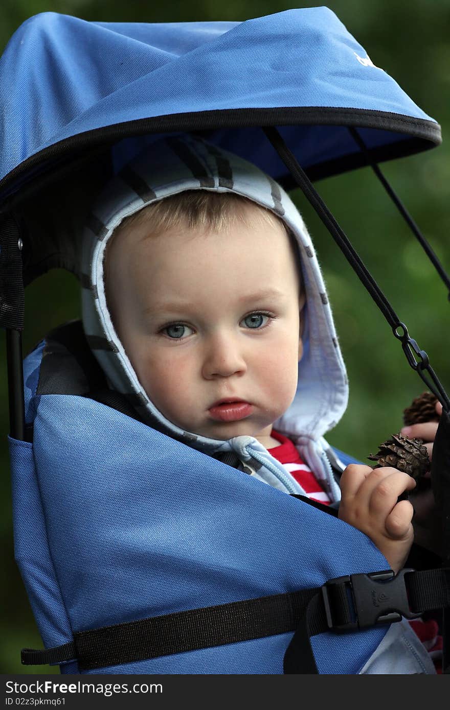 Baby in carrier