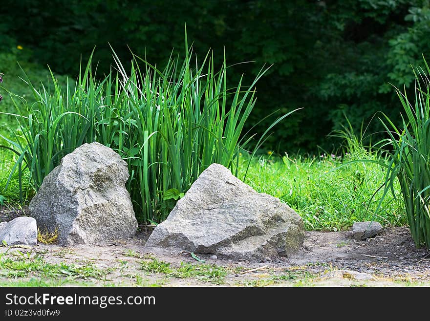 Beautiful landscape (stones and leaves)