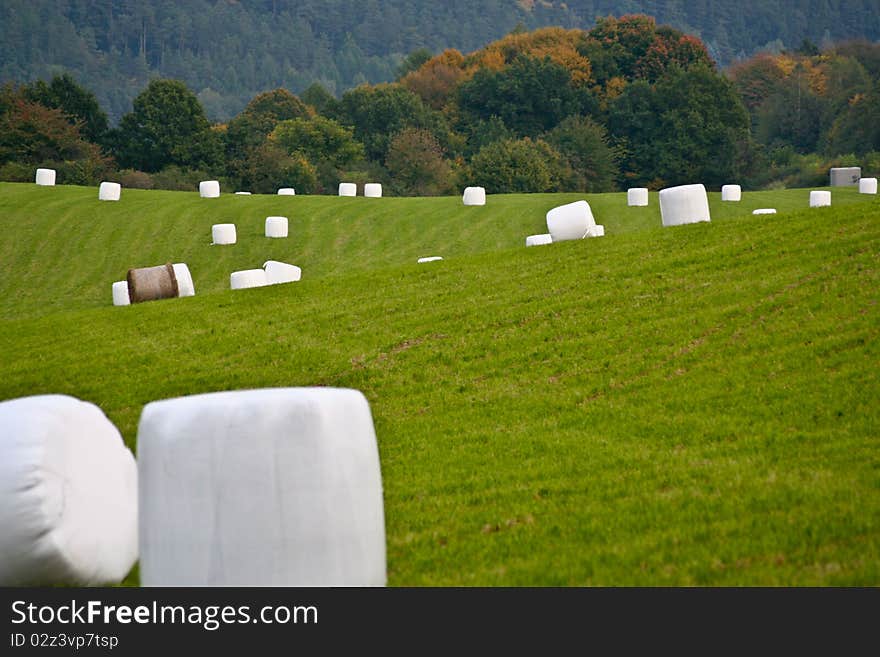 Field with packets of straw