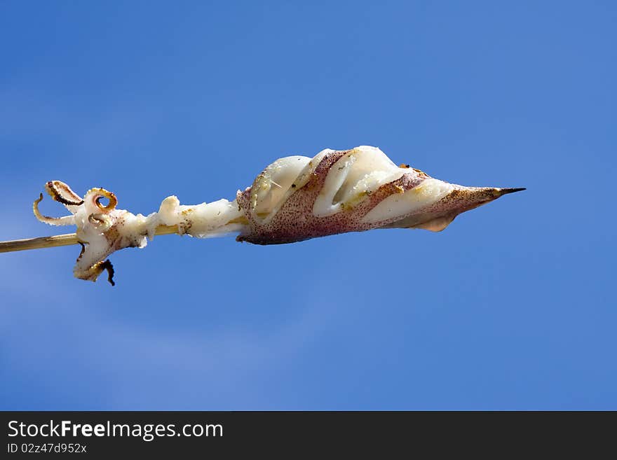 Squid against the blue sky