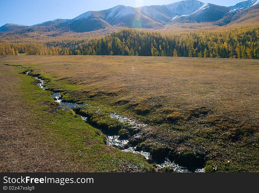 Snow Mountain and golden frosty