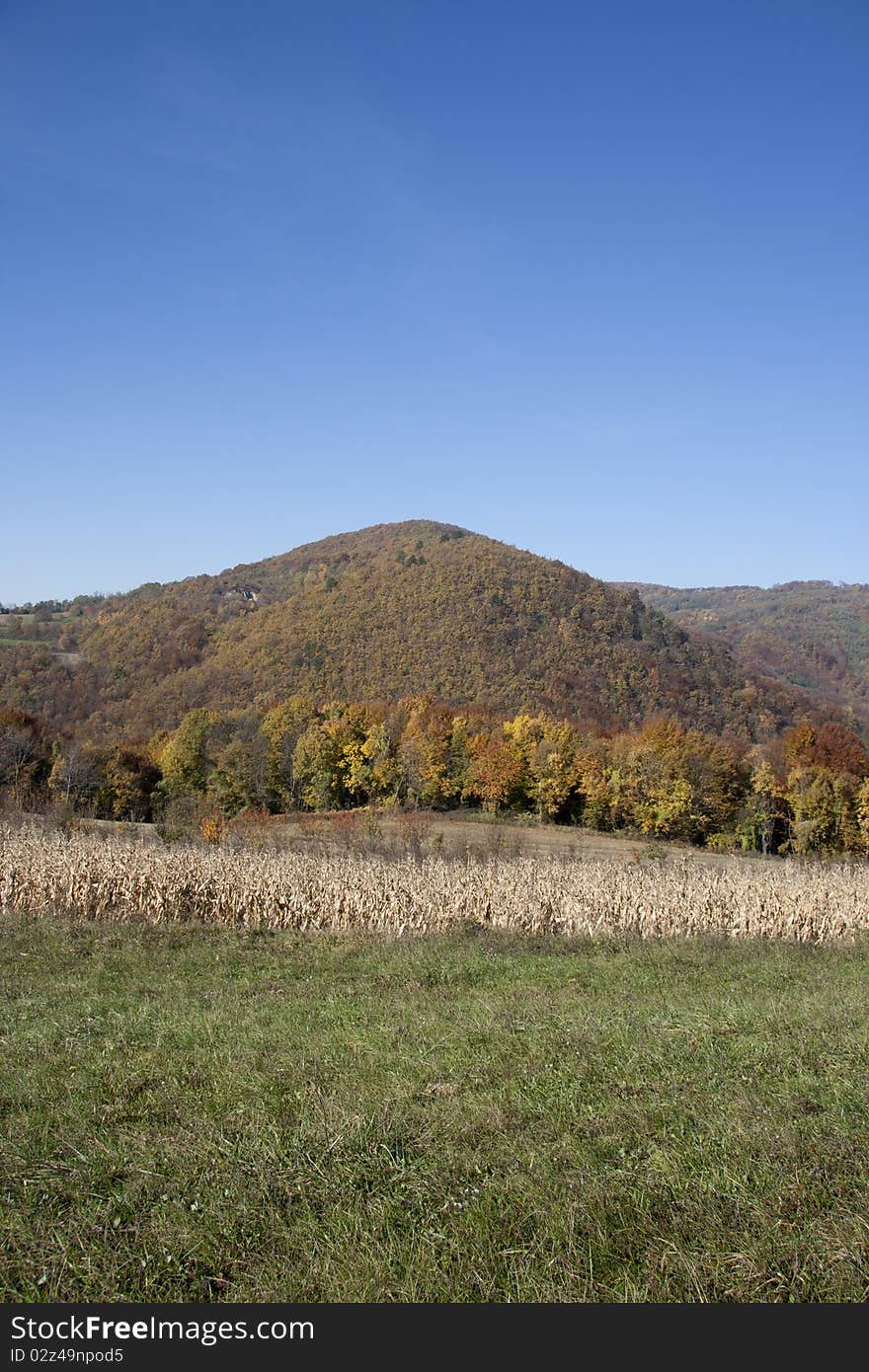 Landscape view in Croatia(Zagorje), forest in the autumn. Landscape view in Croatia(Zagorje), forest in the autumn