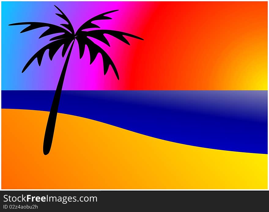 Palm tree on beach with sunset. Palm tree on beach with sunset