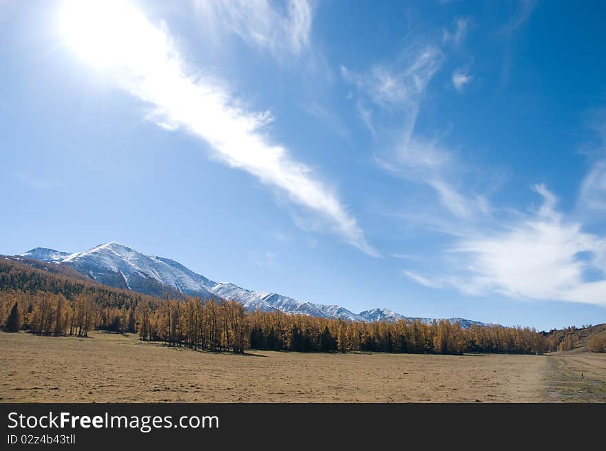 Snow Mountain and golden frosty in xinjiang ,china