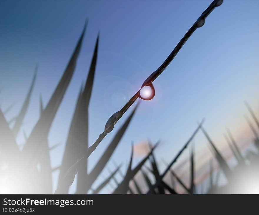 A Drop Of Water In The Sunset. A Drop Of Water In The Sunset