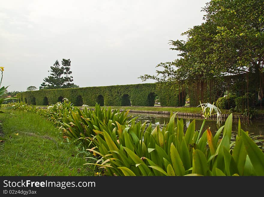 Fresh green in park,Suan Luang Rama 9,Bangkok-Thailand