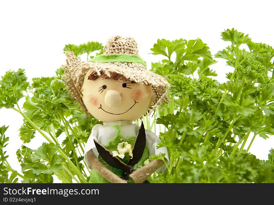 Parsley with straw doll