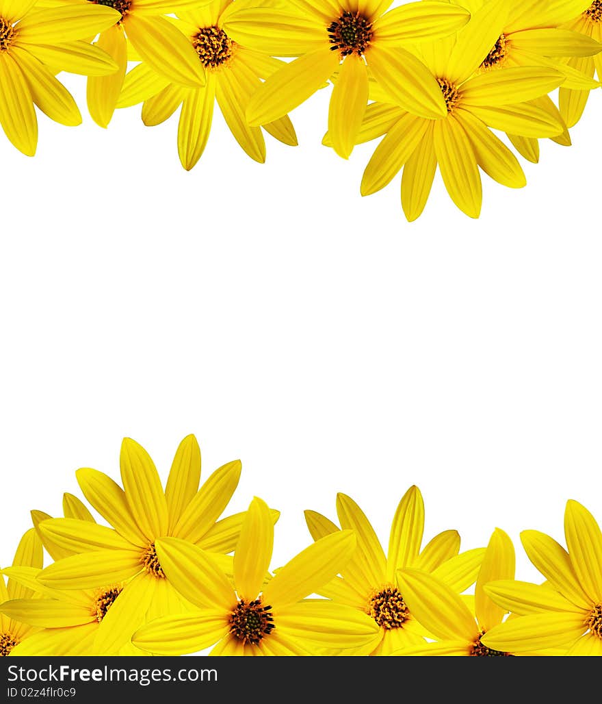 Yellow sunflower made frame