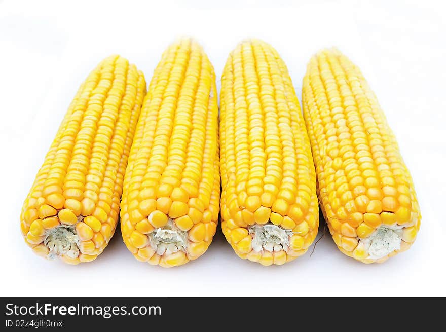 Four ripe maize on white background