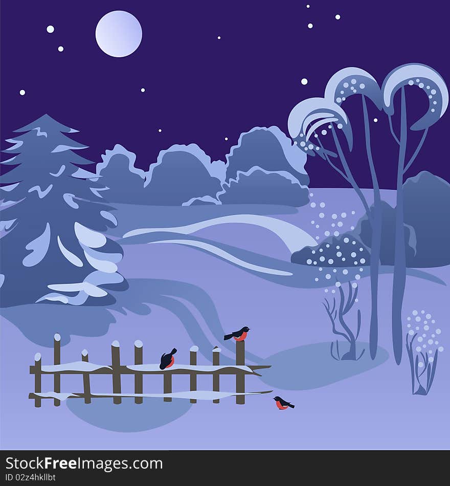 Beautiful wintry landscape with night sky, snow-covered nature and nice birds on the fence. Beautiful wintry landscape with night sky, snow-covered nature and nice birds on the fence