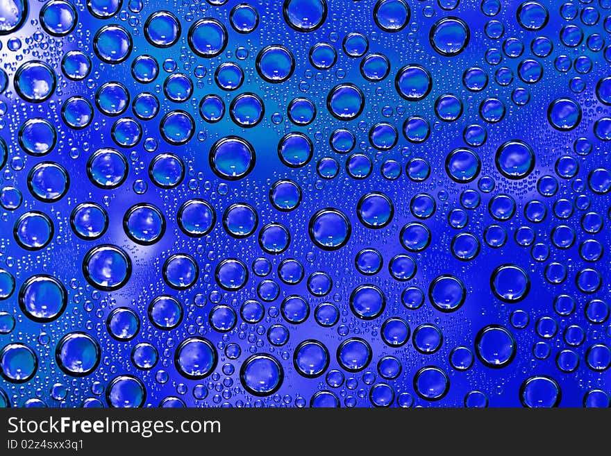 A bubble texture or background. A bubble texture or background