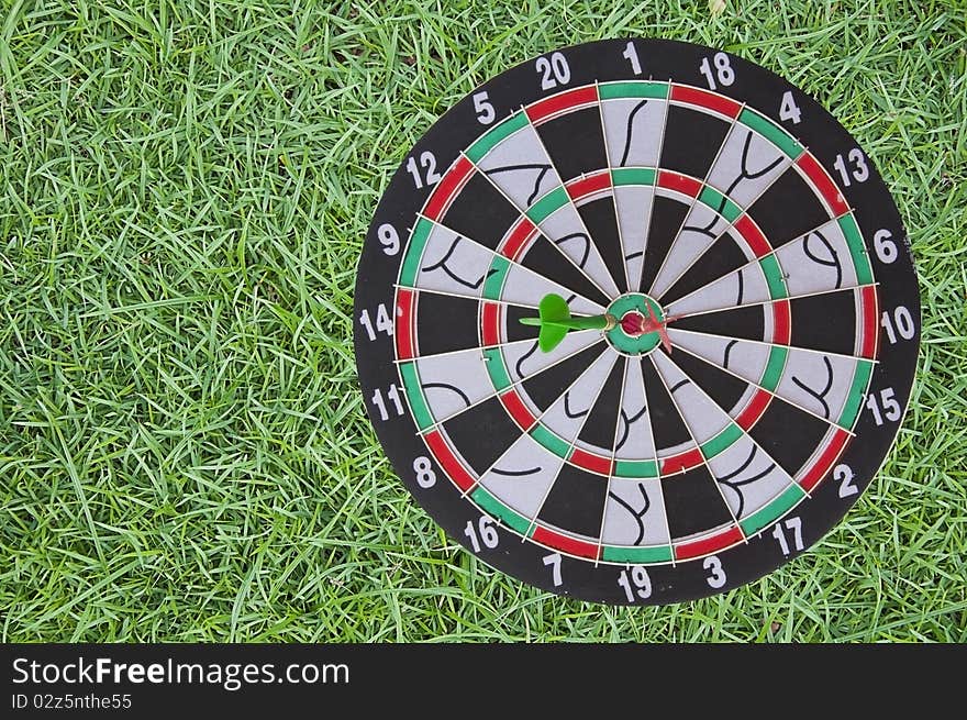 Dart board Target on green grass. Dart board Target on green grass