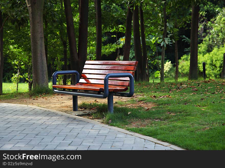 Wooden park bench in park.