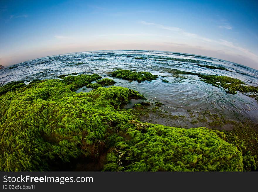 A beautiful shore with lots of green and blue looking to the horizon. This picture was taken in a fish eye lense.