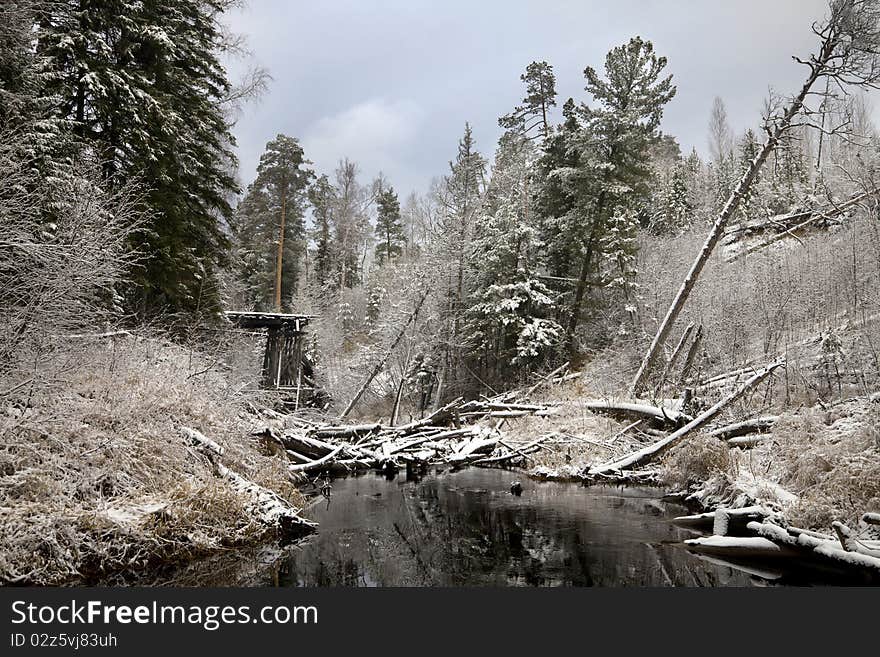 Old wooden bridge in coniferous forest