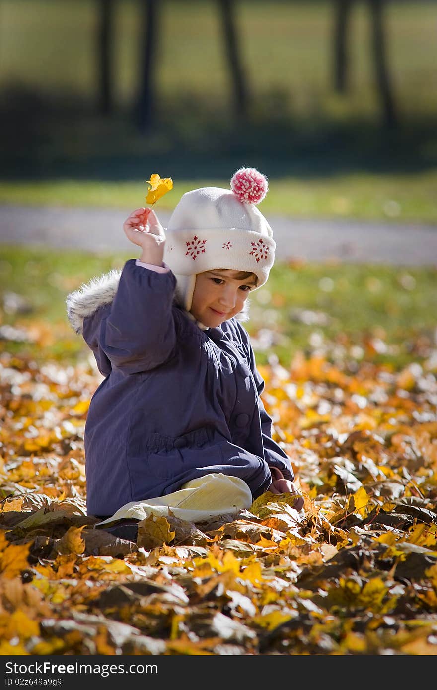 Little girl sitting in the autumn leaves. Little girl sitting in the autumn leaves