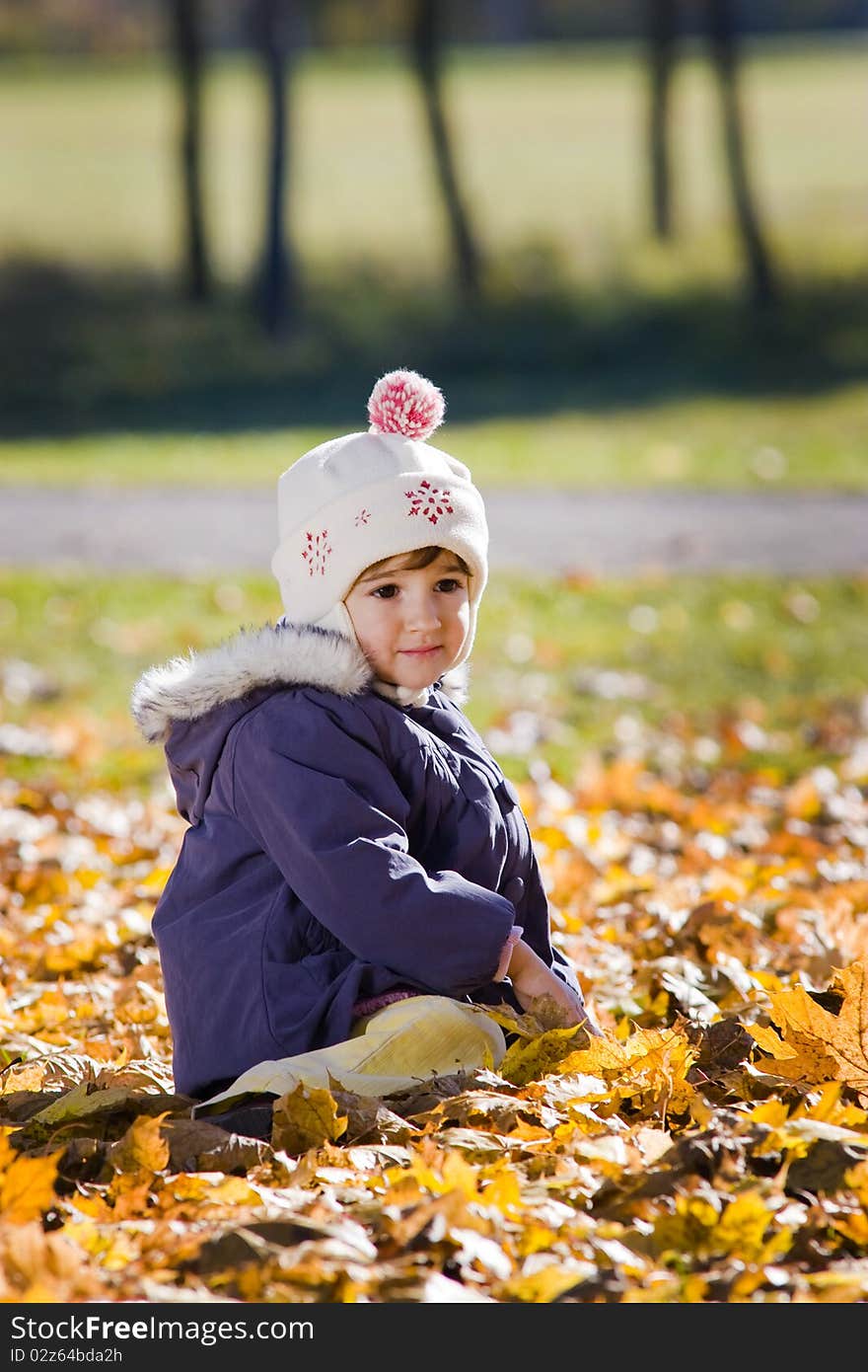 Little girl sitting in the autumn leaves. Little girl sitting in the autumn leaves