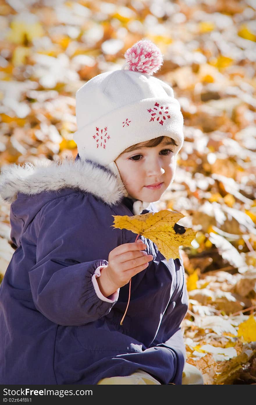 Little girl sitting in the autumn leaves. Little girl sitting in the autumn leaves