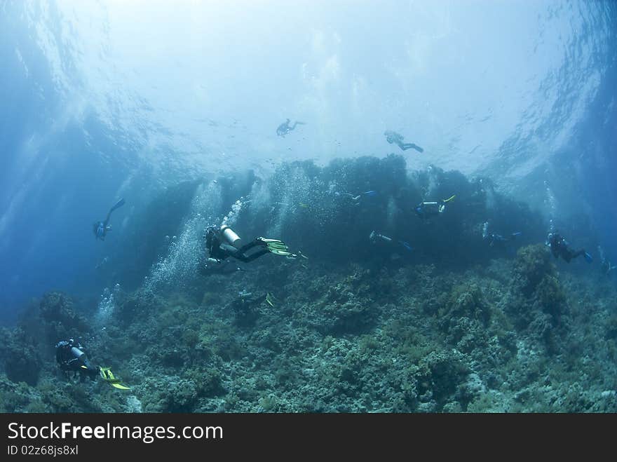 Big group of scuba divers underwater. Yolanda reef, Ras Mohamed National Park, Red Sea, Egypt.