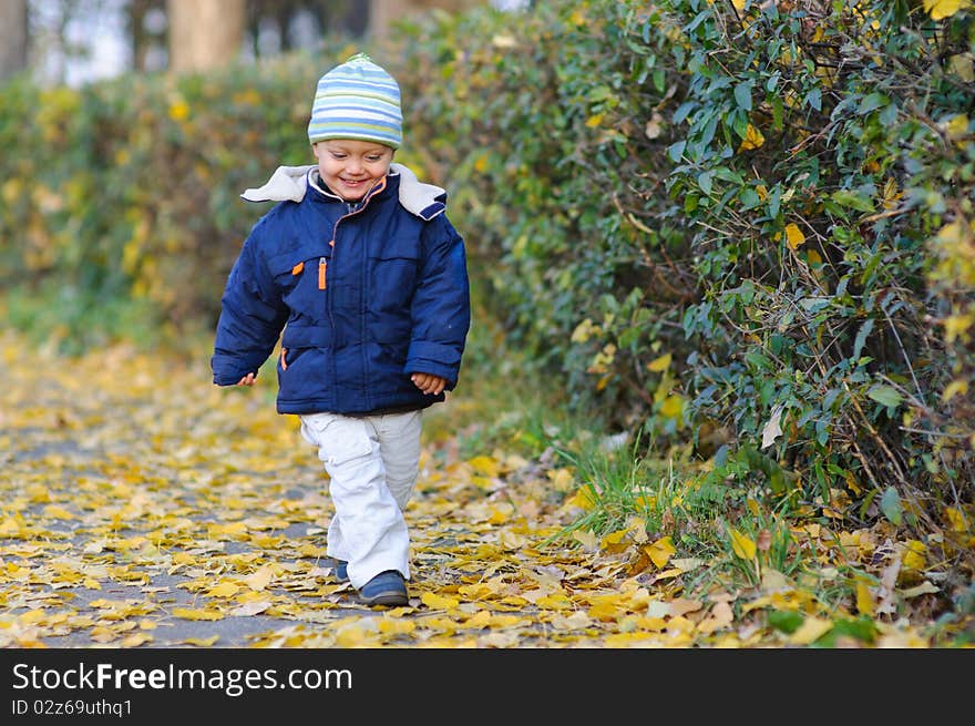 Little cute boy walks in autumn park