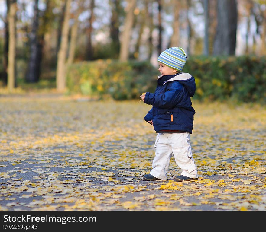 Little cute boy walks in autumn park