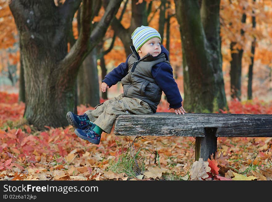 Cute little boy sitting on a bench in the autumn park