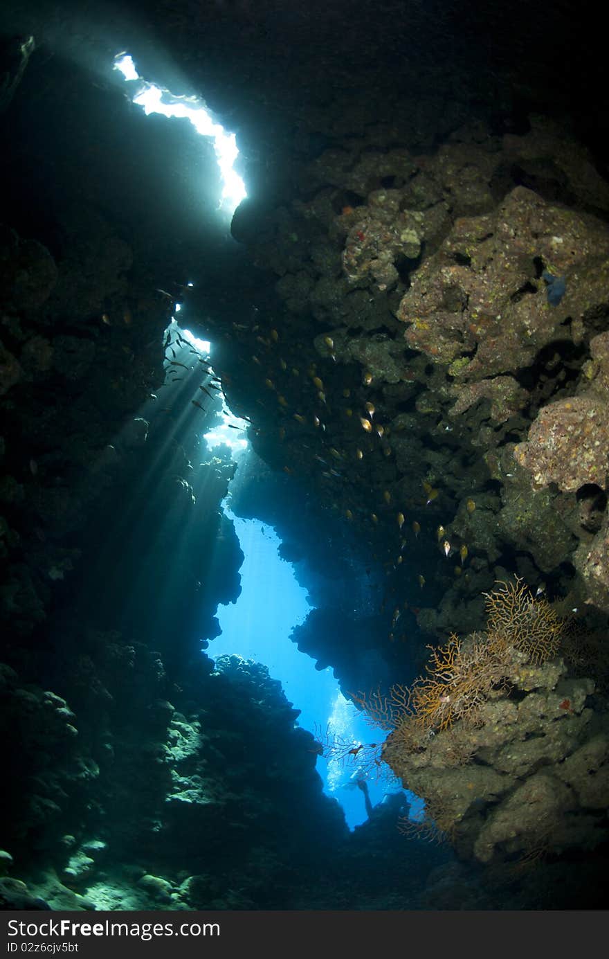 Rays of sunlight shining through inside an underwater cave. Jackfish alley, Ras Mohamed National Park, Red Sea, Egypt. Rays of sunlight shining through inside an underwater cave. Jackfish alley, Ras Mohamed National Park, Red Sea, Egypt.