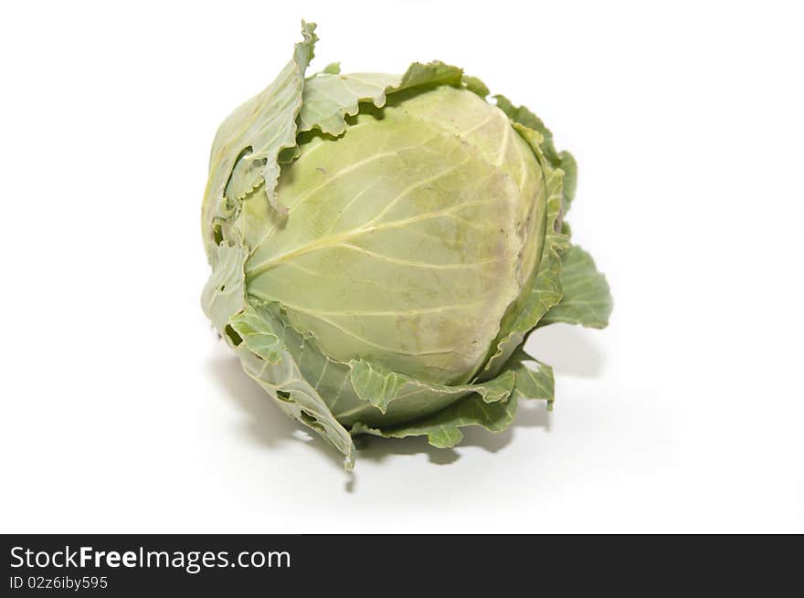 Green cabbage on white background