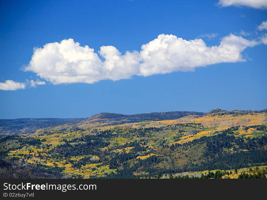 Amazing fall colors on a mountainside. Amazing fall colors on a mountainside