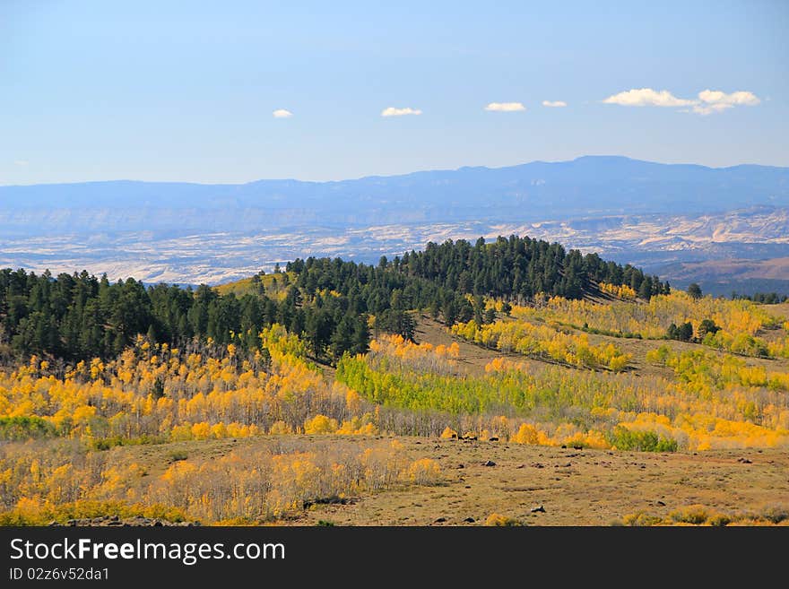 Boulder Mountain In The Fall