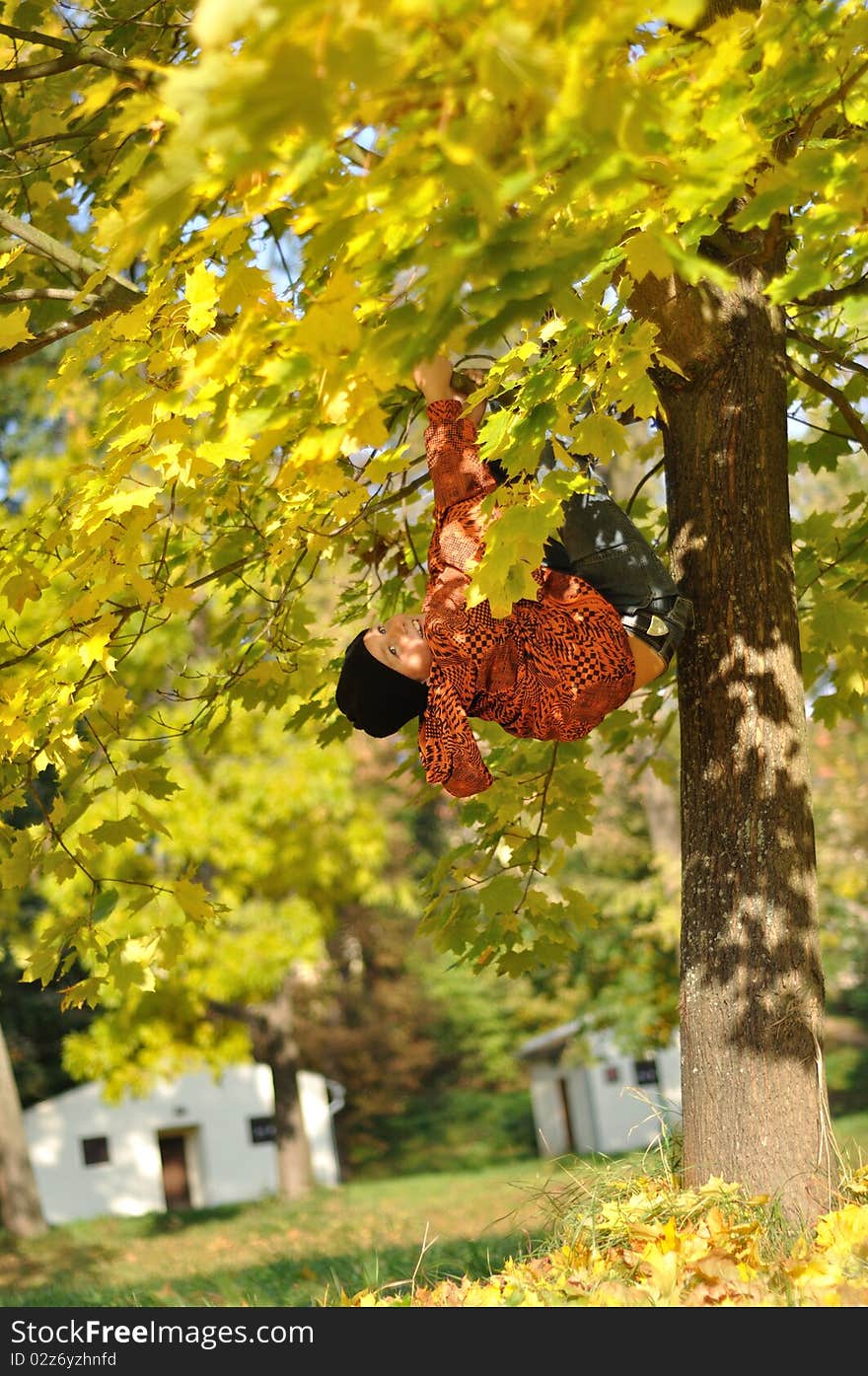 Boy hang on tree in autumn. Boy hang on tree in autumn