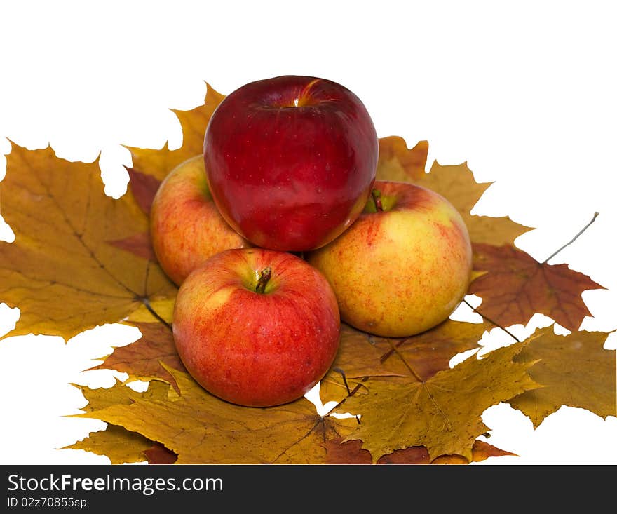 Four apples folded priamidkoy on maple leaves isolated on white background. Four apples folded priamidkoy on maple leaves isolated on white background.